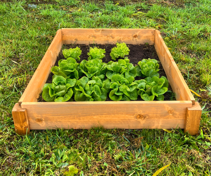 LSH ModulBox - Modulares Hochbeet