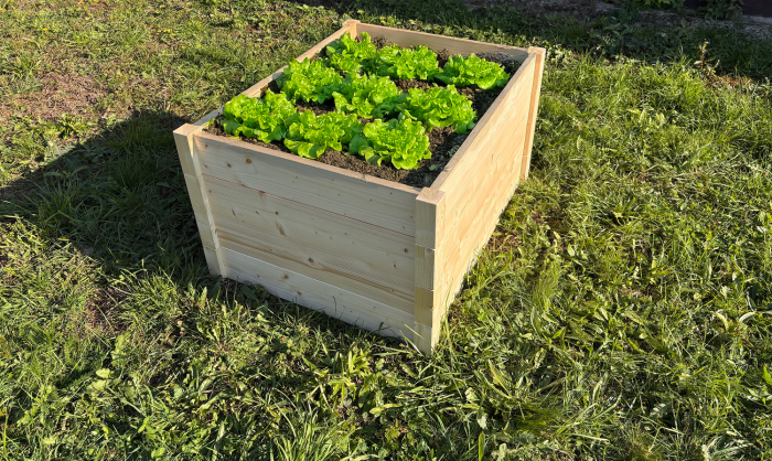 LSH ModulBox - Modulares Hochbeet – Bild 4
