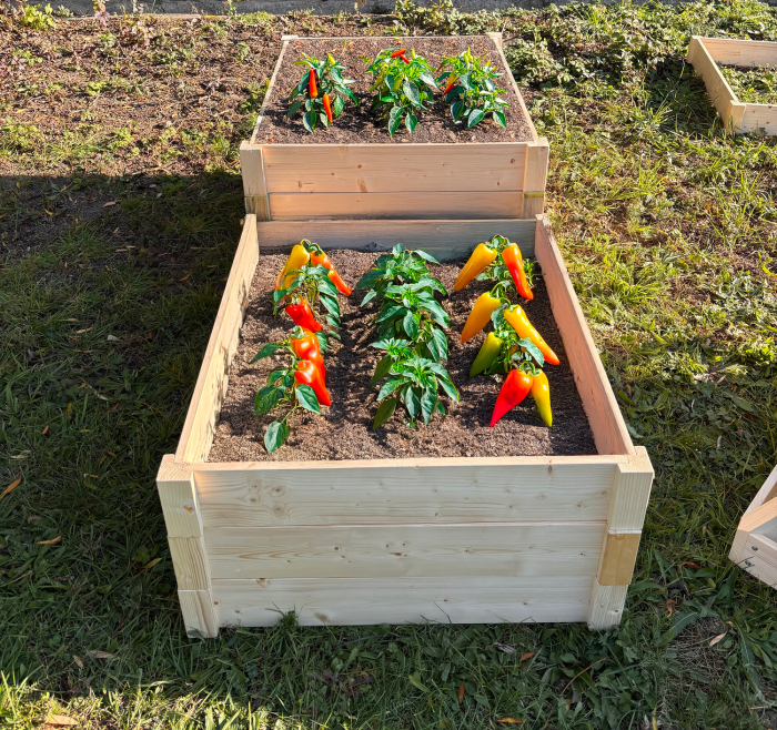 LSH ModulBox - Modulares Hochbeet – Bild 9