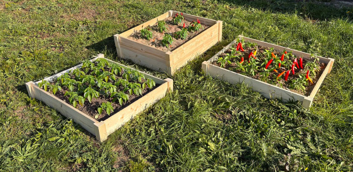 LSH ModulBox - Modulares Hochbeet – Bild 7