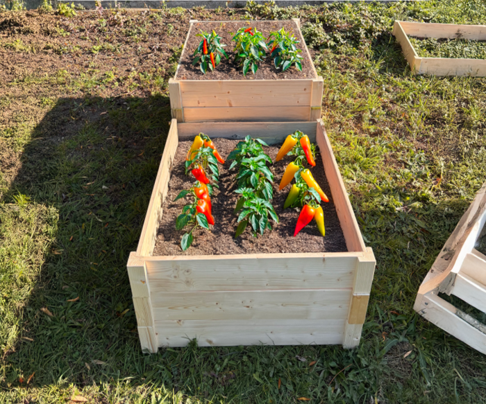 LSH ModulBox - „Paradiesgarten Hochbeet"
