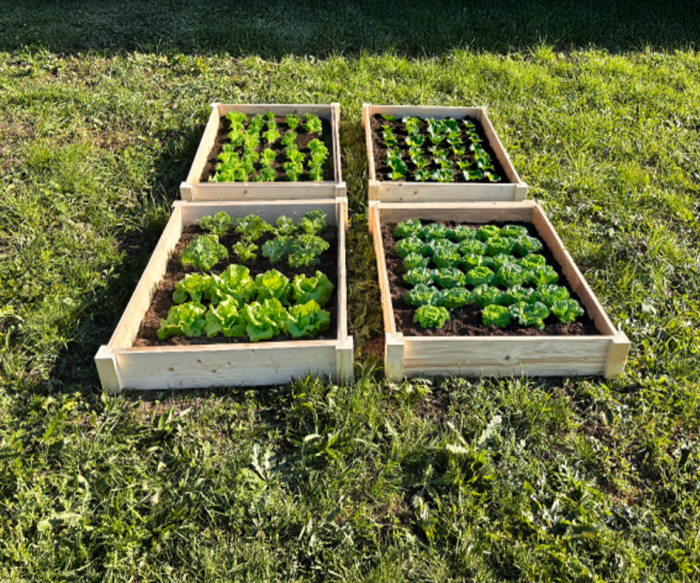 LSH ModulBox - „Kräutergarten Hochbeet"