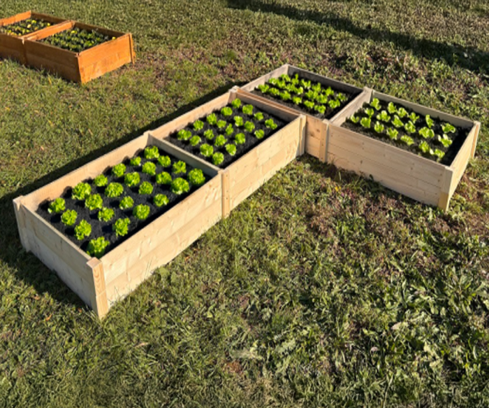 LSH ModulBox - „Gartenmania Hochbeet"