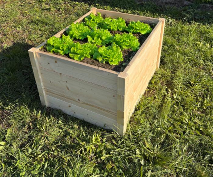 LSH ModulBox - „START Hochbeet"